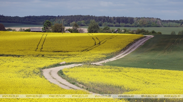 Рябов рассказал о погоде в последнюю неделю весны. Будет ли тепло? 