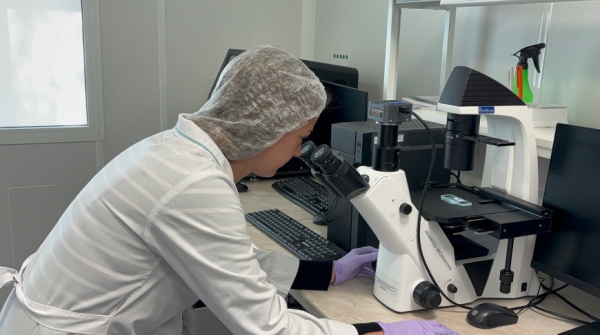 Производство фабрики клеток, или Как ученые сумели укротить рак и замедлить старение