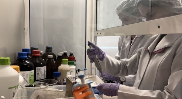 Производство фабрики клеток, или Как ученые сумели укротить рак и замедлить старение