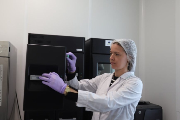 Производство фабрики клеток, или Как ученые сумели укротить рак и замедлить старение