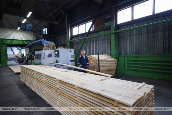 Неожиданные назначения, золото из отходов, новый город шахтеров и чудо-пеллеты. Итоги недели Президента 