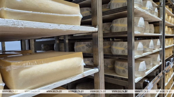 В январе-мае в Беларуси произвели сельхозпродукции на Br9,5 млрд