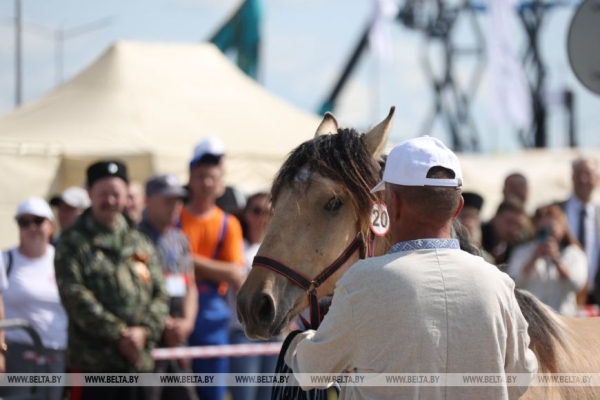 Смотры-конкурсы, презентации новинок: как прошел второй день "Белагро-2025"