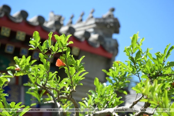 Дружеский обед с Си Цзиньпином, китайский стадион в Минске и патриарший визит. Итоги недели Президента Дружеский обед с Си Цзиньпином, китайский стадион в Минске и патриарший визит. Итоги недели Президента