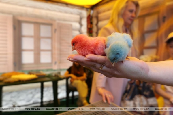 Смотры-конкурсы, презентации новинок: как прошел второй день "Белагро-2025"