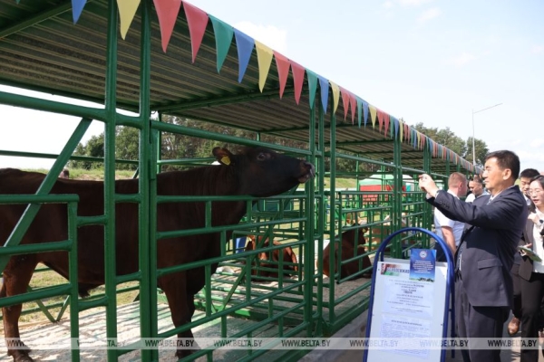 Смотры-конкурсы, презентации новинок: как прошел второй день "Белагро-2025"