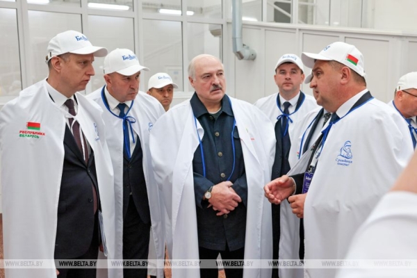 Область, район, предприятие. Подробности поездки Лукашенко в Волковысский район 