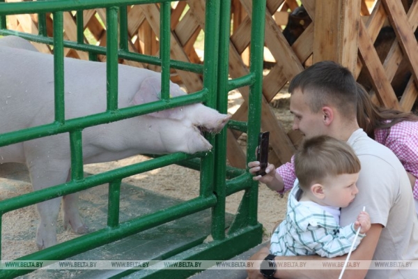 Смотры-конкурсы, презентации новинок: как прошел второй день "Белагро-2025"