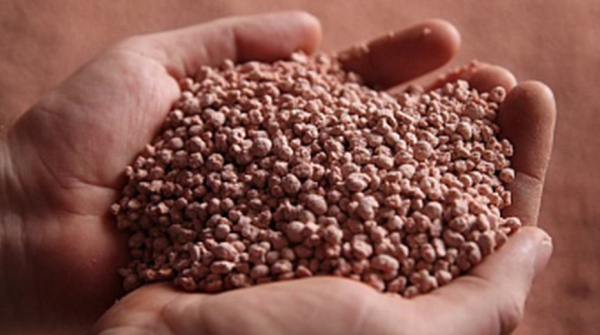 "Плодородие почв теряется легко, а приобретается долго". Почему аграрии считают NPK-удобрения будущим