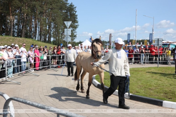 Смотры-конкурсы, презентации новинок: как прошел второй день "Белагро-2025"