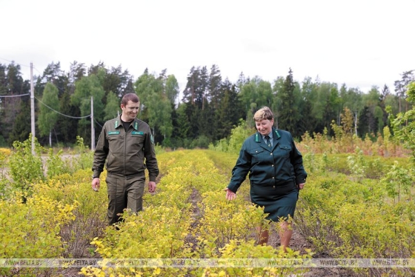 Проект районного масштаба: В Старых Дорогах строят новый завод для БЕЛАЗа