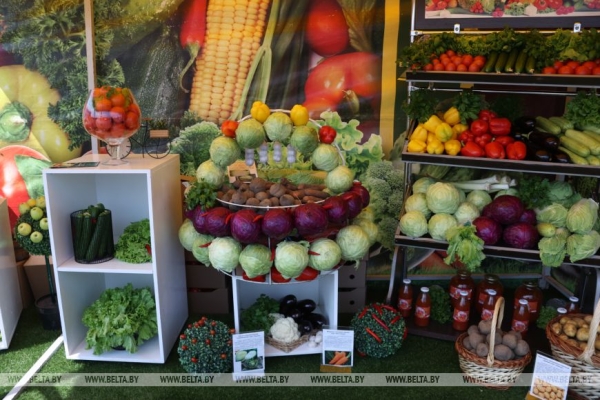 Смотры-конкурсы, презентации новинок: как прошел второй день "Белагро-2025"