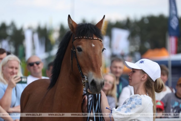 Смотры-конкурсы, презентации новинок: как прошел второй день "Белагро-2025"