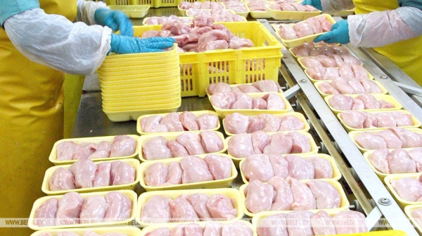 "Белоруснефть-Особино" планирует нарастить производственные объемы до 60-70 тыс. т мяса в год