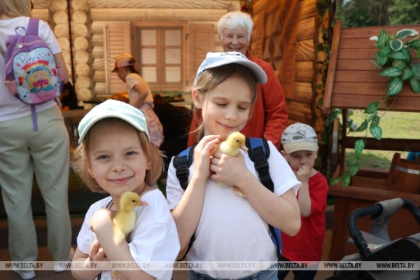 Смотры-конкурсы, презентации новинок: как прошел второй день "Белагро-2025"