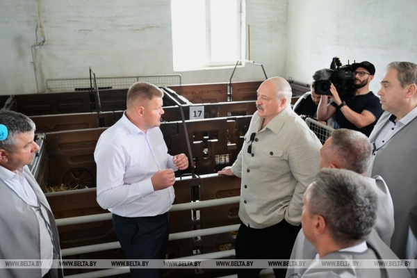 "Почему не интенсифицировать процесс?" Лукашенко поставил принципиальные вопросы в сфере козоводства 