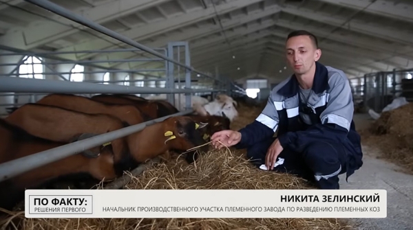 Подобные хозяйства Лукашенко еще не посещал: чем его удивила ферма в Могилеве и где прячутся живые деньги Подобные хозяйства Лукашенко еще не посещал: чем его удивила ферма в Могилеве и где прячутся живые деньги