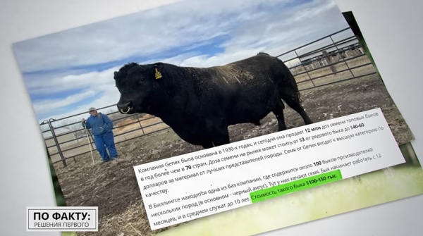 Подобные хозяйства Лукашенко еще не посещал: чем его удивила ферма в Могилеве и где прячутся живые деньги Подобные хозяйства Лукашенко еще не посещал: чем его удивила ферма в Могилеве и где прячутся живые деньги