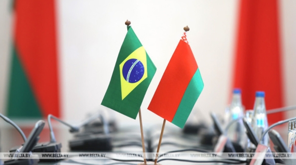 Рыженков посетит Бразилию для участия в саммите БРИКС 