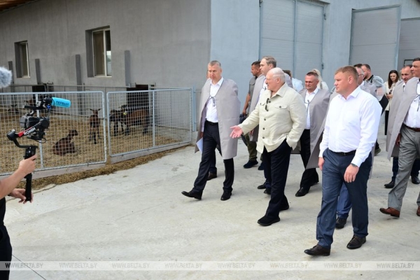 Подобные хозяйства Лукашенко еще не посещал: чем его удивила ферма в Могилеве и где прячутся живые деньги Подобные хозяйства Лукашенко еще не посещал: чем его удивила ферма в Могилеве и где прячутся живые деньги