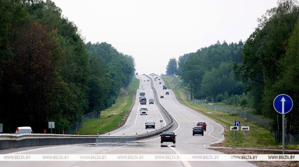 Как избежать столкновения с дикими животными на дороге, рассказали в милиции