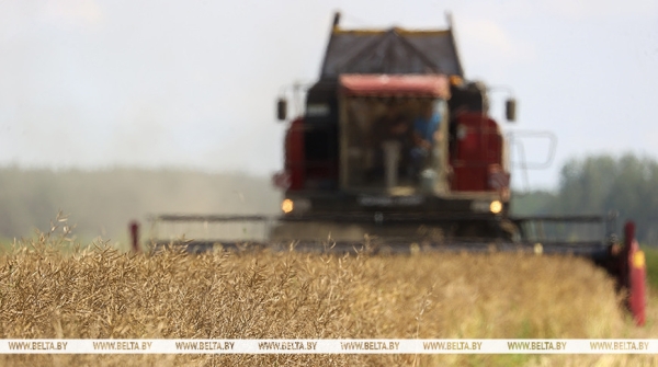 Минтруда: в разгар уборочной на особом контроле условия работы на предприятиях АПК