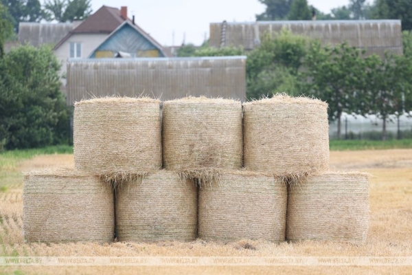 Лукашенко ознакомился с состоянием дел на агрокомбинате "Заря"