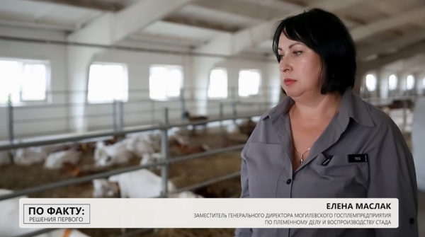 Подобные хозяйства Лукашенко еще не посещал: чем его удивила ферма в Могилеве и где прячутся живые деньги Подобные хозяйства Лукашенко еще не посещал: чем его удивила ферма в Могилеве и где прячутся живые деньги