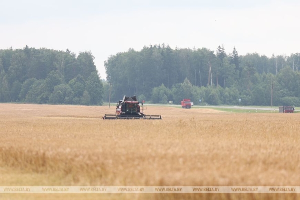 Лукашенко ознакомился с состоянием дел на агрокомбинате "Заря"