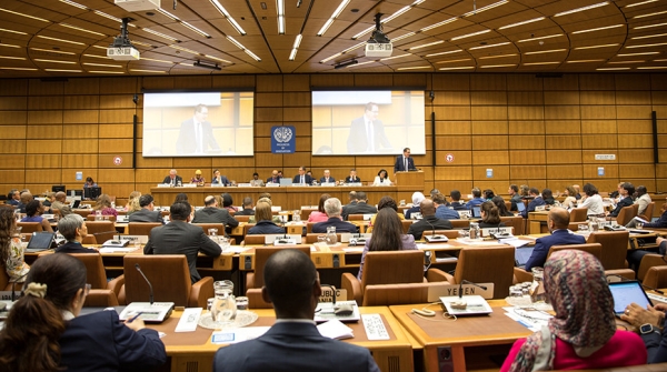 По инициативе Беларуси ЮНИДО принято решение о партнерстве со странами со средним уровнем дохода