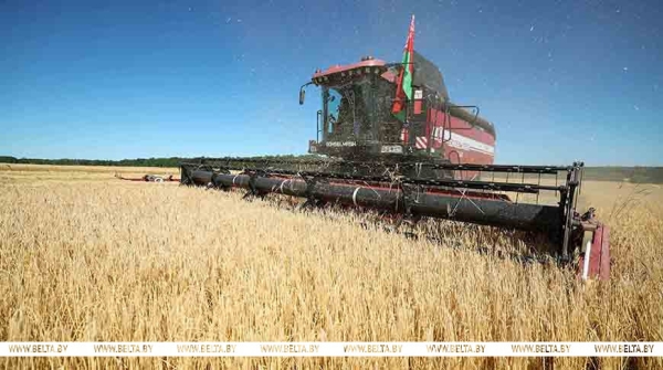 Лукашенко о погоде и урожае: дожди были нам на пользу, будем с хлебом!