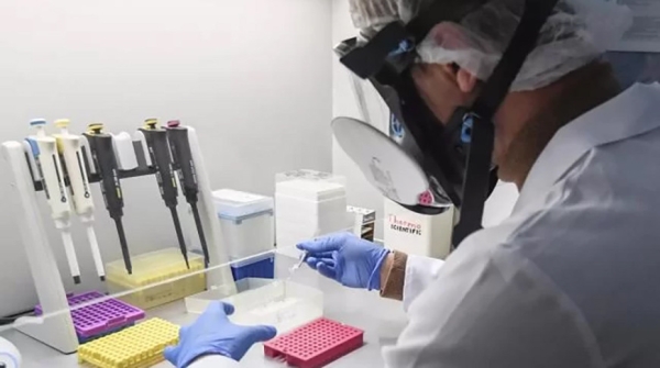 Китайские ученые пересадили клетки человеческого мозга мышам для борьбы с депрессией