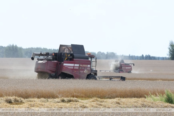 Глава Минсельхозпрода: переброска техники между регионами помогает убрать хлеб вовремя и без потерь
