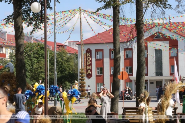 "Льняная карусель" закружила в Корме