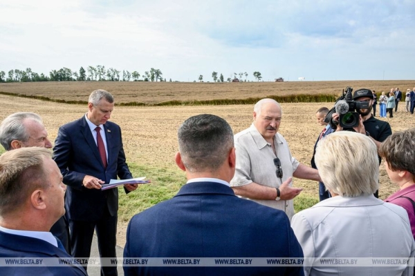 Лукашенко ориентирует на получение в Беларуси урожая маслосемян рапса около 1 млн тонн