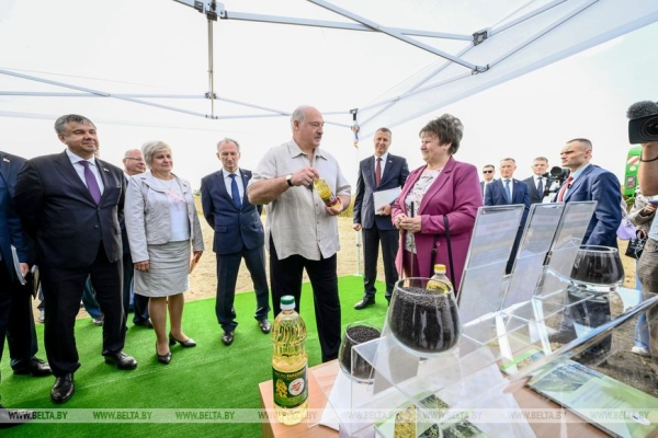 Лукашенко ориентирует на получение в Беларуси урожая маслосемян рапса около 1 млн тонн