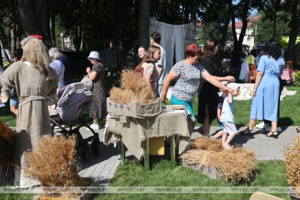 "Льняная карусель" закружила в Корме