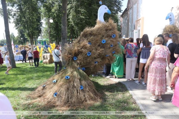 "Льняная карусель" закружила в Корме