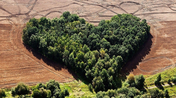 "Гродненщину с высоты птичьего полета" можно увидеть на выставке в Санкт-Петербурге