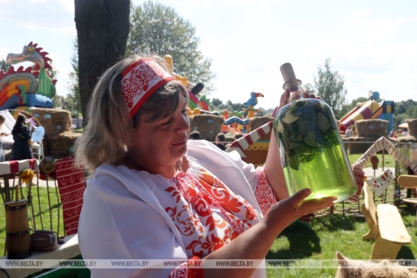 "Льняная карусель" закружила в Корме