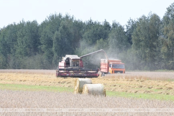 Глава Минсельхозпрода: переброска техники между регионами помогает убрать хлеб вовремя и без потерь