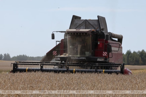 Глава Минсельхозпрода: переброска техники между регионами помогает убрать хлеб вовремя и без потерь