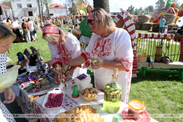 "Льняная карусель" закружила в Корме