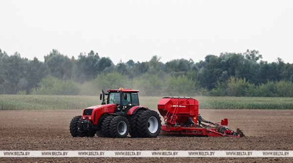 100 тысяч га. Минская область выполнила план сева озимого рапса