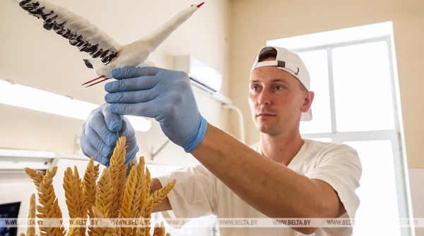 "Всегда знал, что буду кондитером". Как рождаются сладкие шедевры, рассказал мастер из Борисова "Всегда знал, что буду кондитером". Как рождаются сладкие шедевры, рассказал мастер из Борисова