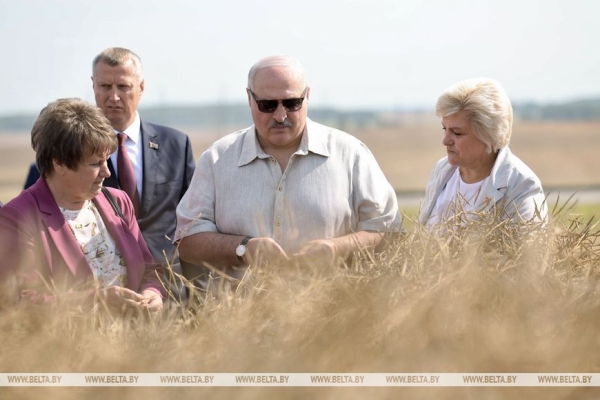 Лукашенко ориентирует на получение в Беларуси урожая маслосемян рапса около 1 млн тонн