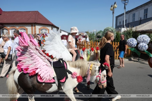 От выкупа невесты до каравая. Свадебный обряд Полесья воссоздали на фестивале в Мотоле 