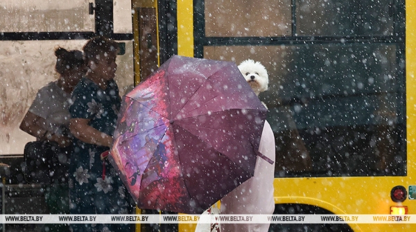 Теплый и дождливый. Белгидромет представил климатическую характеристику июля Теплый и дождливый. Белгидромет представил климатическую характеристику июля