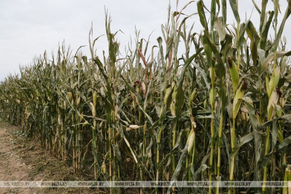 Мирный атом, переговоры в Кремле, инспекция на востоке и момент для Украины. Итоги недели Президента