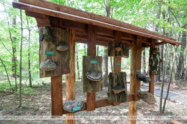 Туристические маршруты Заславля в объективе фотографа БЕЛТА